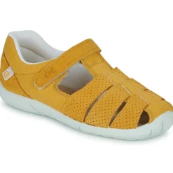 Citrouille et Compagnie - SABLO Jaune New