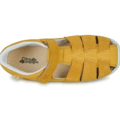 Citrouille et Compagnie - SABLO Jaune New