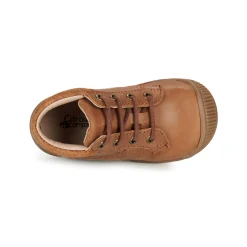 Citrouille et Compagnie - RATON.C Clearance