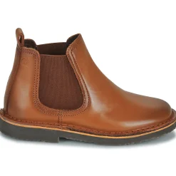 Citrouille et Compagnie - HOVETTE Camel Sale
