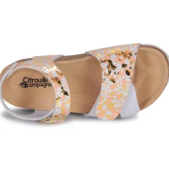 Citrouille et Compagnie - CHOMINA Orange Online