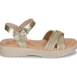 Citrouille et Compagnie - PIXI Gold Hot