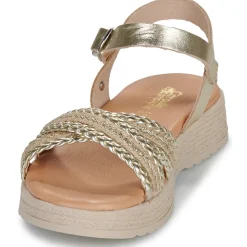 Citrouille et Compagnie - PIXI Gold Hot