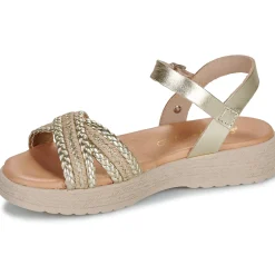 Citrouille et Compagnie - PIXI Gold Hot