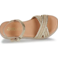 Citrouille et Compagnie - PIXI Gold Hot