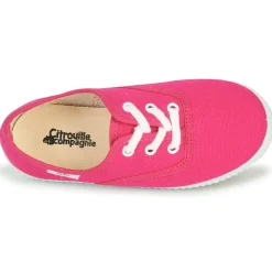 Citrouille et Compagnie - KIPPI BOU Rose Online