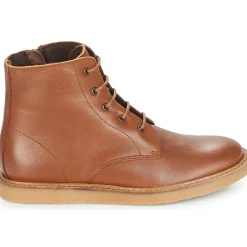 Citrouille et Compagnie - HATINE Marron New
