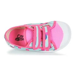 Citrouille et Compagnie - GLASSIA Multicolore Hot