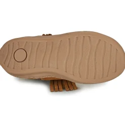 Citrouille et Compagnie - PIDO Camel Discount