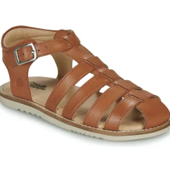 Citrouille et Compagnie - ASMILO Camel Hot