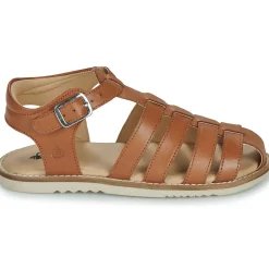Citrouille et Compagnie - ASMILO Camel Hot