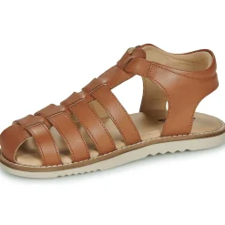 Citrouille et Compagnie - ASMILO Camel Hot