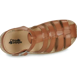 Citrouille et Compagnie - ASMILO Camel Hot