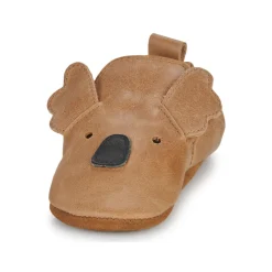 Citrouille et Compagnie - CARAMI Camel Hot