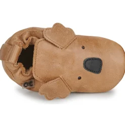 Citrouille et Compagnie - CARAMI Camel Hot
