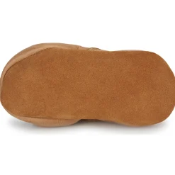 Citrouille et Compagnie - CARAMI Camel Hot