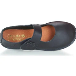 Citrouille et Compagnie - MILSO Marine New