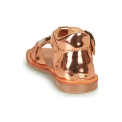 Citrouille et Compagnie - MINIMOME Bronze Best