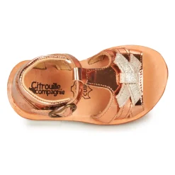 Citrouille et Compagnie - MINIMOME Bronze Best