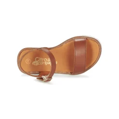 Citrouille et Compagnie - GAPOTI Camel Sale
