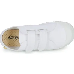 Citrouille et Compagnie Baskets Mode^- MINOT