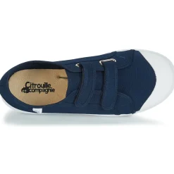 Citrouille et Compagnie - GLASSIA Marine Online