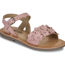 Citrouille et Compagnie - FLEURS Pink New