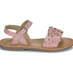 Citrouille et Compagnie - FLEURS Pink New