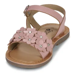 Citrouille et Compagnie - FLEURS Pink New