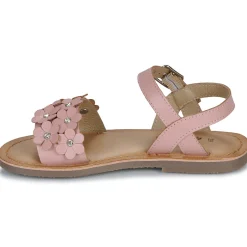 Citrouille et Compagnie - FLEURS Pink New