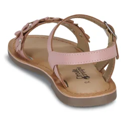 Citrouille et Compagnie - FLEURS Pink New