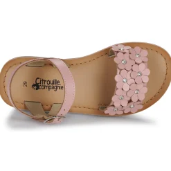 Citrouille et Compagnie - FLEURS Pink New