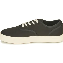 Clae Baskets Mode^- AUGUST