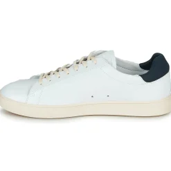Clae - BRADLEY Clearance