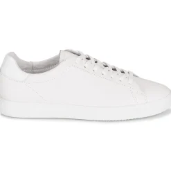 Clae - BRADLEY< Baskets Mode