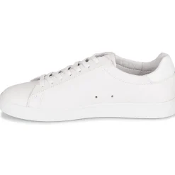 Clae - BRADLEY< Baskets Mode