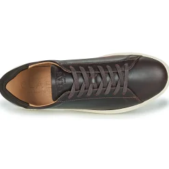 Clae Baskets Mode^- BRADLEY