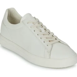 Clae - BRADLEY< Baskets Mode