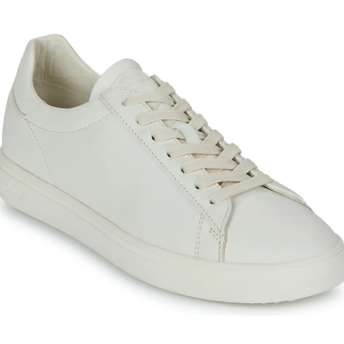 Clae - BRADLEY< Baskets Mode