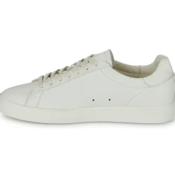 Clae - BRADLEY< Baskets Mode