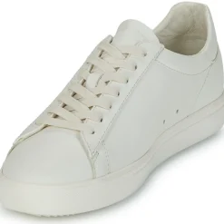 Clae - BRADLEY< Baskets Mode