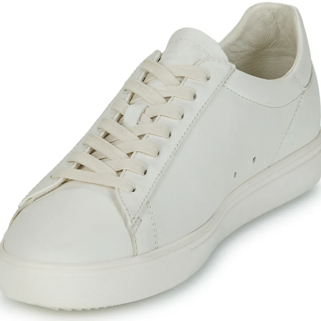 Clae - BRADLEY< Baskets Mode