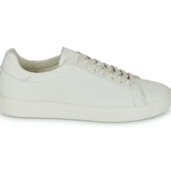 Clae - BRADLEY< Baskets Mode