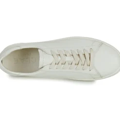 Clae - BRADLEY< Baskets Mode