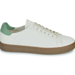 Clae Baskets Mode^- BRADLEY