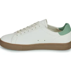 Clae Baskets Mode^- BRADLEY