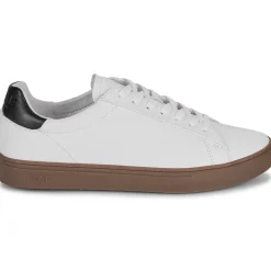 Clae - BRADLEY Clearance