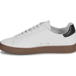 Clae - BRADLEY Clearance