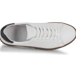 Clae - BRADLEY Clearance