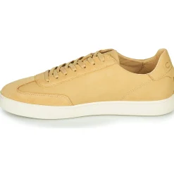 Clae - DEANE Camel Sale
